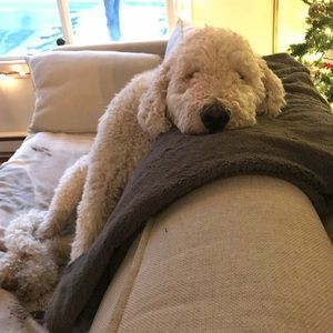 Meet your Posher, Marissa